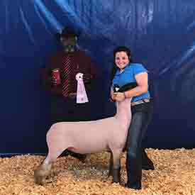 Teeters Club Lambs Winners